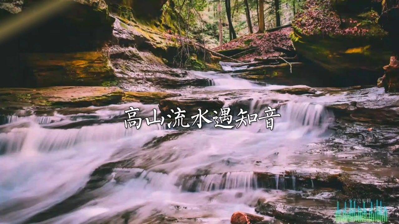 蓝狐视频