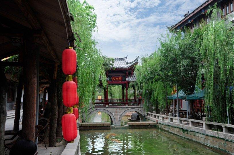 动物帮帮忙保卫家园